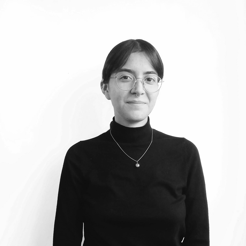Maira Astudillo Hurtado - Piña & Araya Abogados